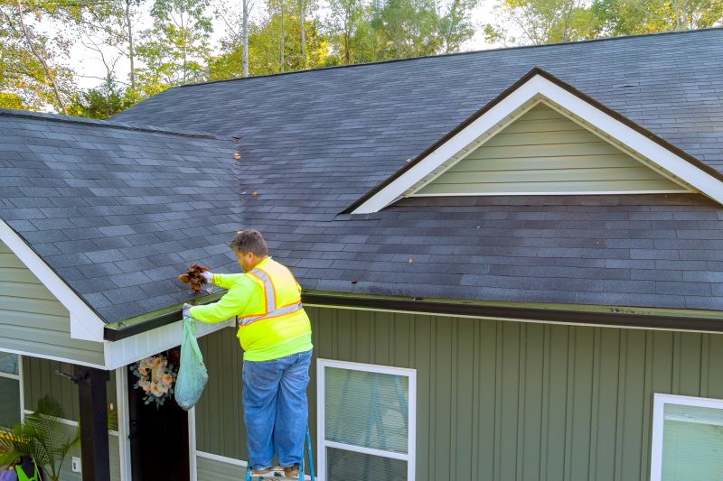 Gutter Maintenance Professionals